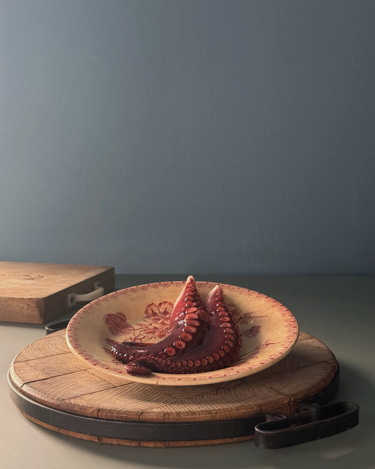 TENTACOLI DI POLPO cotti refrigerati