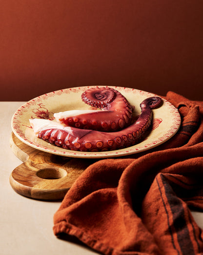 TENTACOLI DI POLPO cotti refrigerati