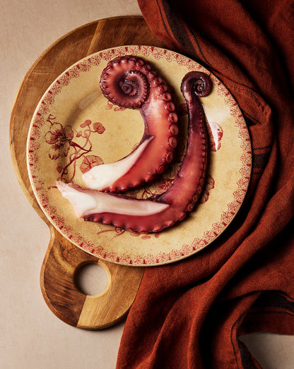 TENTACOLI DI POLPO cotti refrigerati