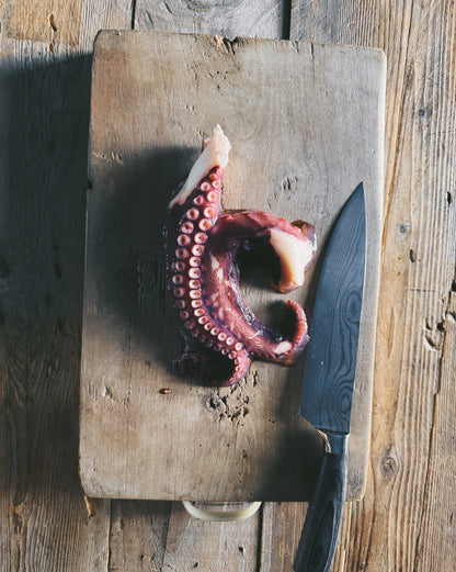 TENTACOLI DI POLPO cotti refrigerati